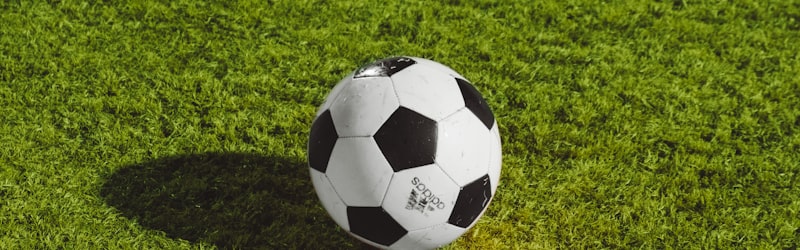 曼城队哈兰德庆祝进球的瞬间